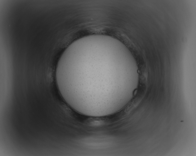 X0000100940658200807151307