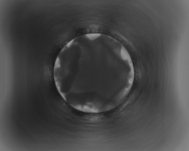 X0000100940661200807151307