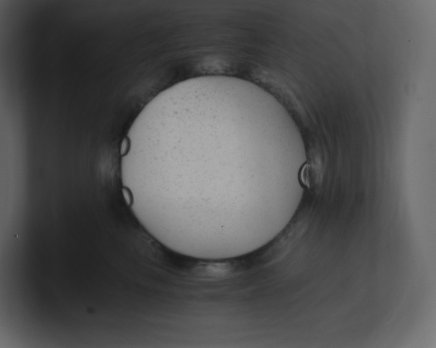 X0000100940665200807151307