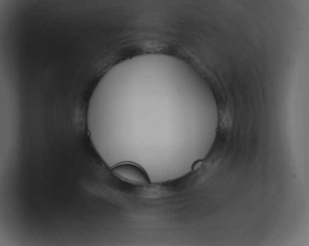 X0000100940666200807151307