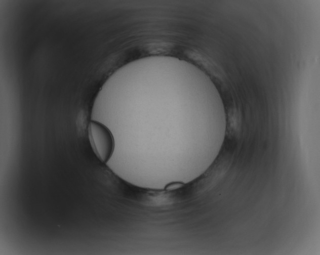 X0000100940667200807151307