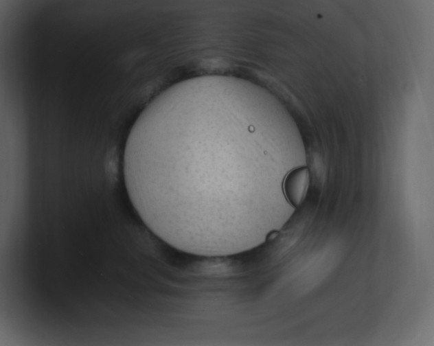 X0000100940668200807151307