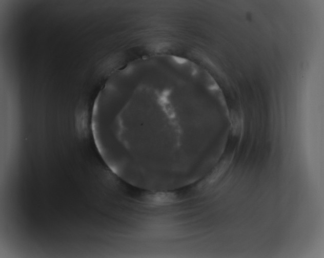 X0000100940670200807151307