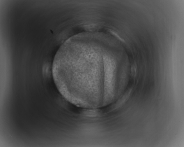 X0000100940671200807151307