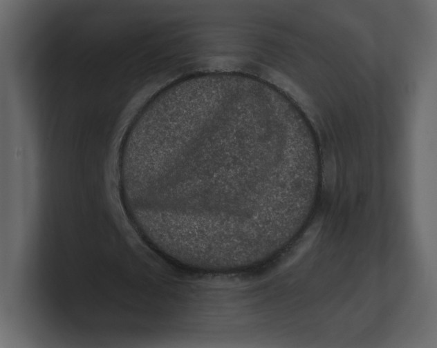 X0000100940673200807151306