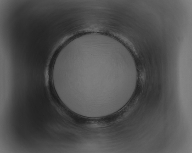 X0000100940678200807151306