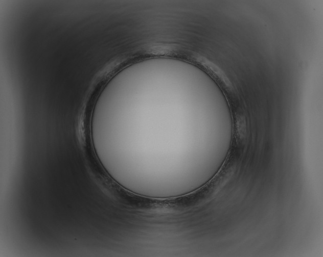 X0000100940682200807151306