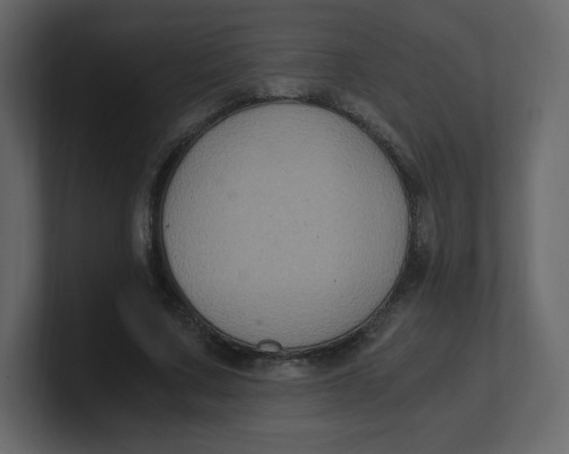 X0000100940683200807151306