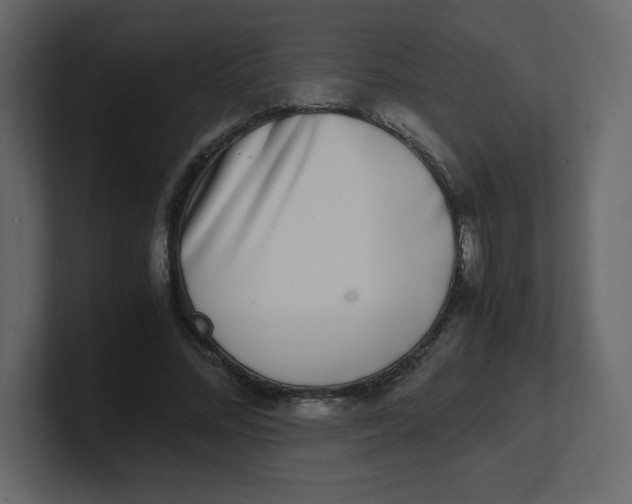 X0000100940684200807151306