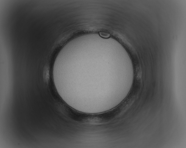 X0000100940685200807151306