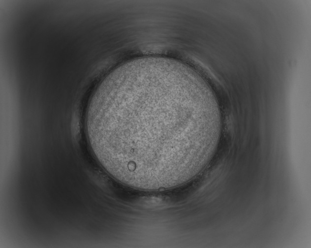 X0000100940687200807151306