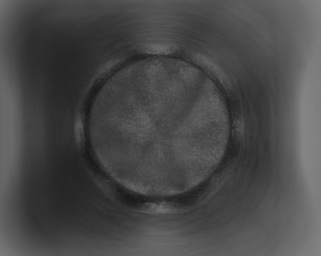 X0000100940688200807151306