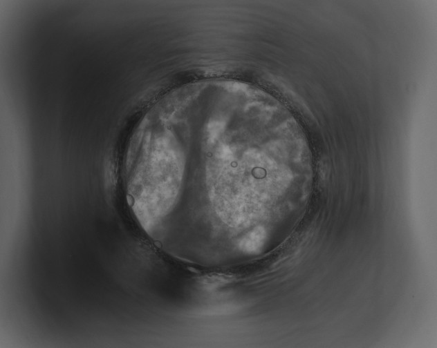 X0000100940691200807151306