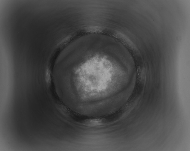 X0000100940692200807151306