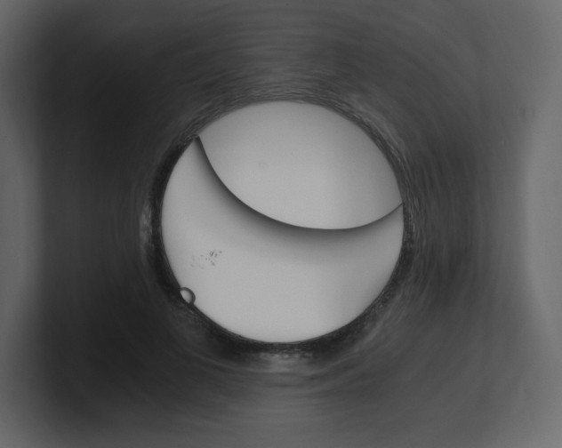 X0000100940693200807151306