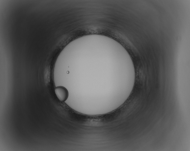 X0000100940694200807151306