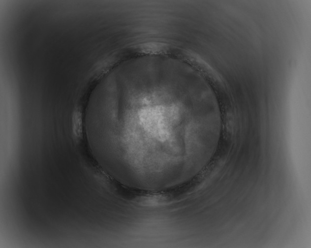 X0000100940696200807151306