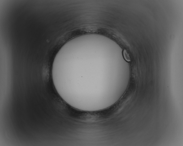 X0000100940697200807151306