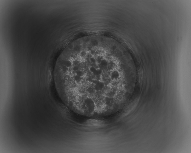 X0000100940699200807151306