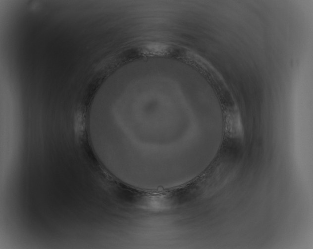 X0000100940701200807151306