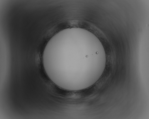 X0000100940702200807151306