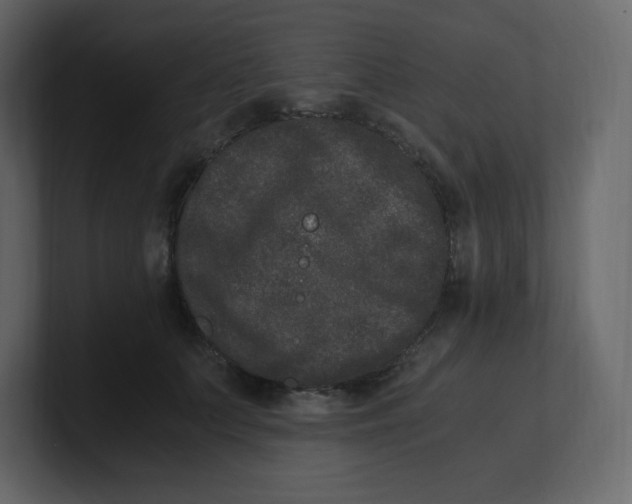 X0000100940703200807151306