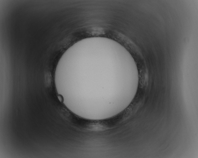 X0000100940704200807151306