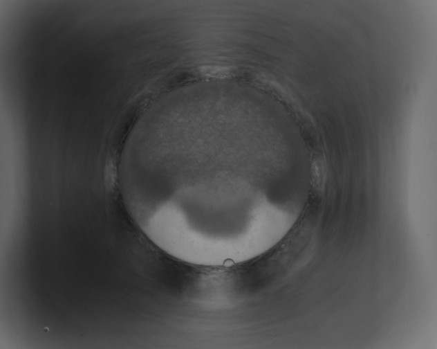 X0000100940705200807151306