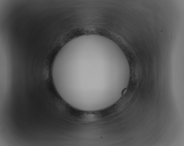 X0000100940706200807151306