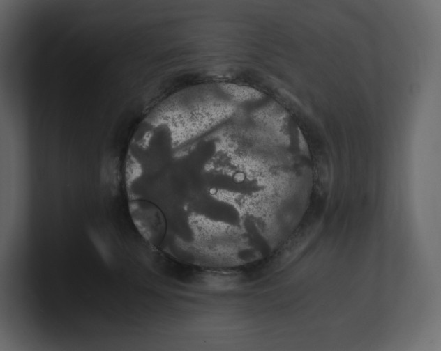 X0000100940707200807151306