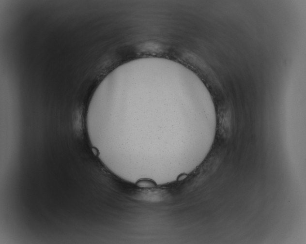 X0000100940708200807151306