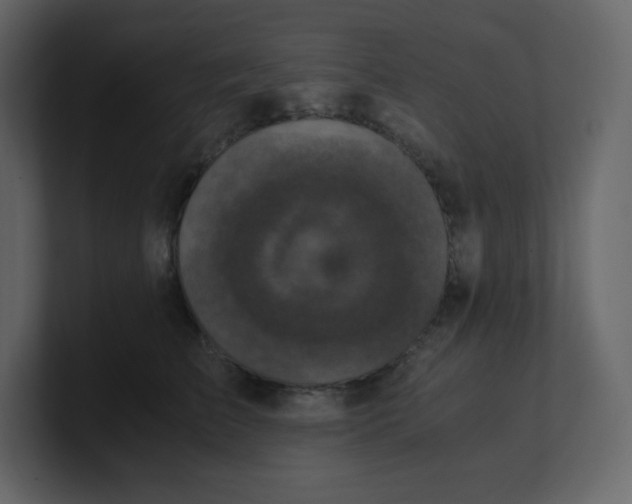 X0000100940709200807151306