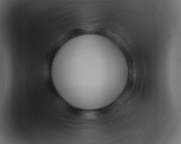 X0000100940710200807151306