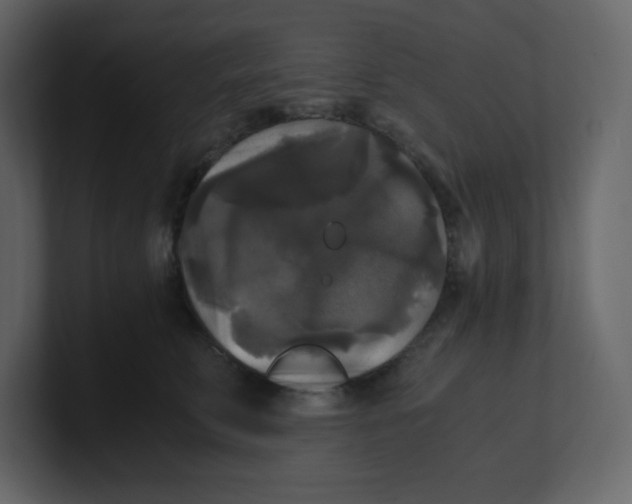 X0000100940711200807151306