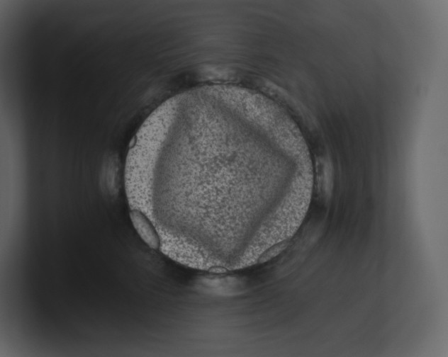 X0000100940712200807151306