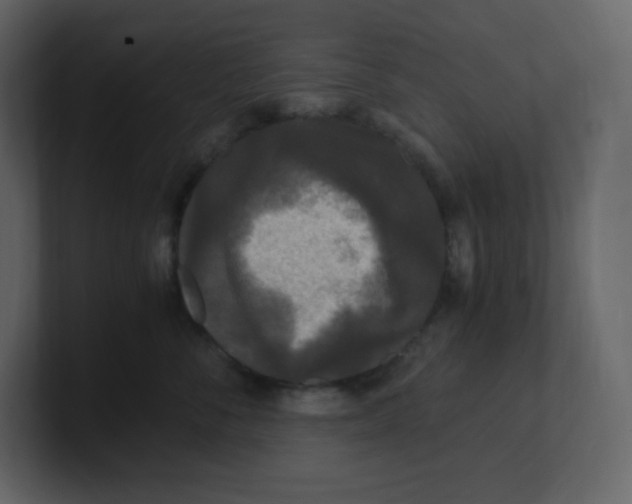 X0000100940716200807151306