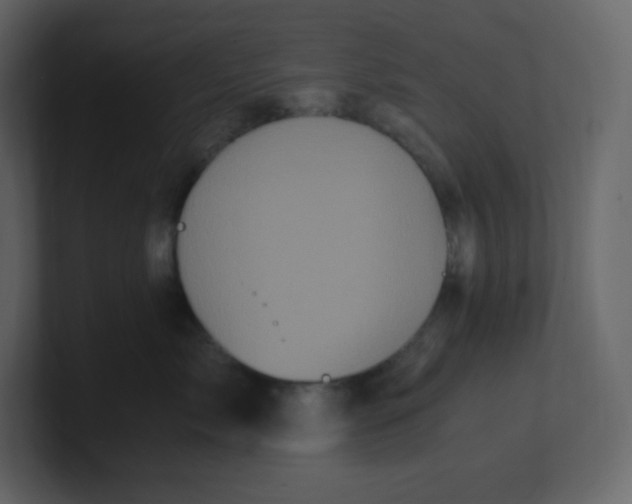 X0000100940717200807151306