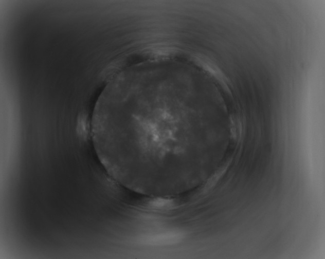 X0000100940718200807151306