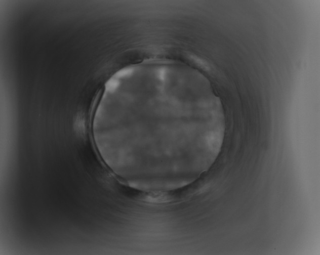 X0000100940720200807151306