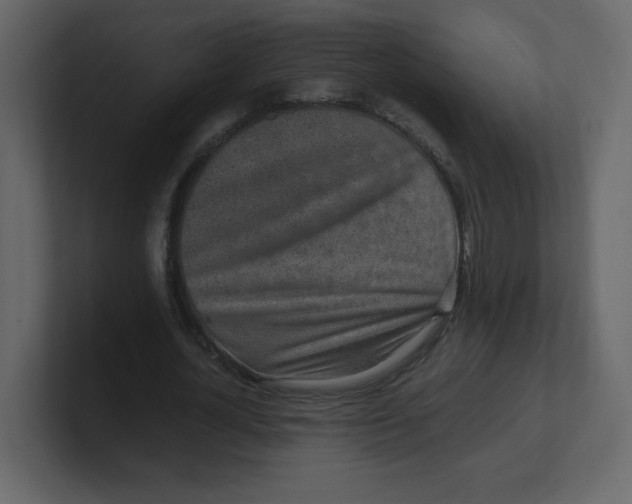 X0000100940724200807151305