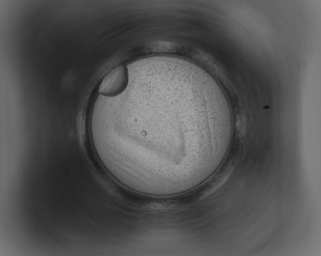 X0000100940725200807151305