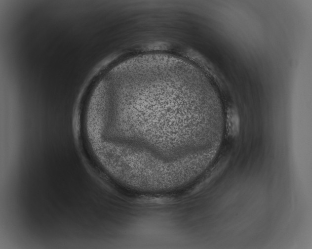 X0000100940726200807151305