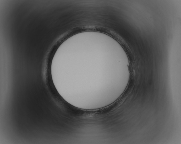 X0000100940728200807151305