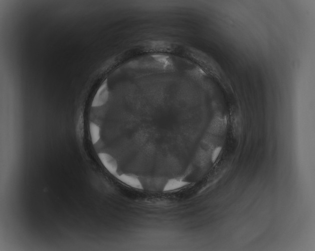 X0000100940729200807151305