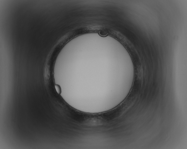 X0000100940731200807151305