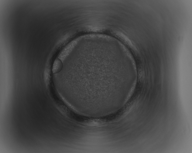 X0000100940736200807151305