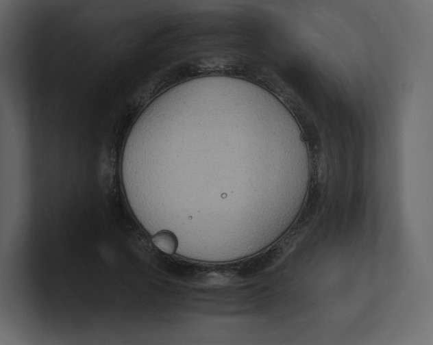 X0000100940737200807151305