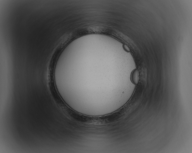 X0000100940738200807151305