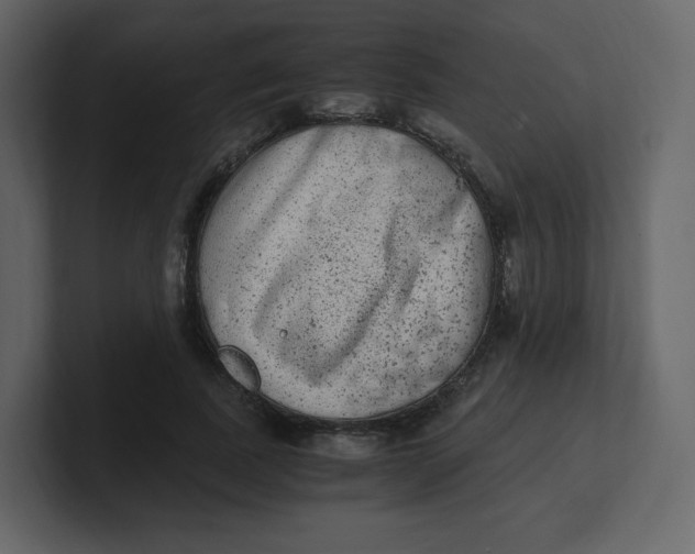 X0000100940739200807151305