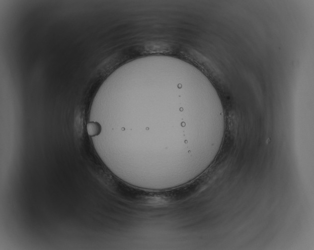 X0000100940741200807151305